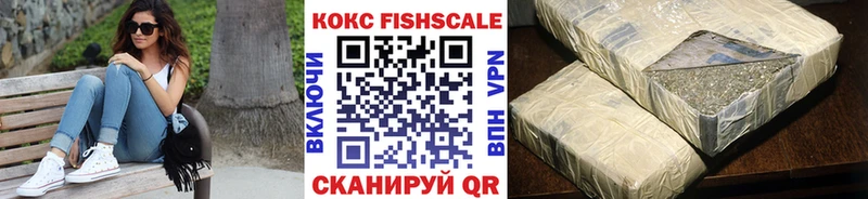 Кокаин Fish Scale  МЕГА ONION  Лермонтов 