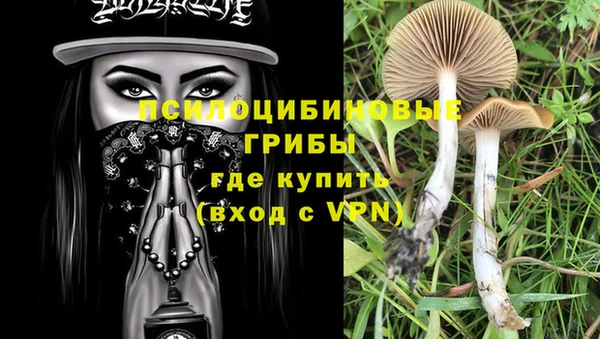 кокс Алексеевка