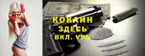 винт Алзамай