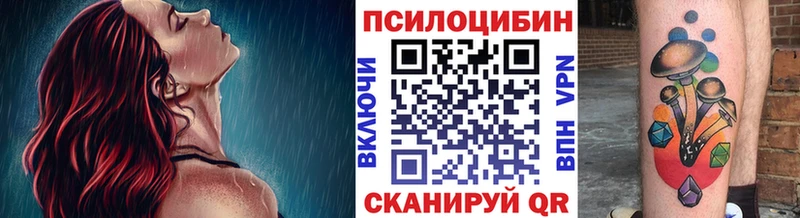 Псилоцибиновые грибы GOLDEN TEACHER  МЕГА зеркало  shop клад  Лермонтов 