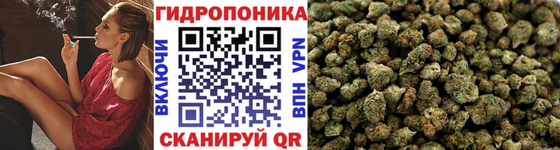 мориарти клад  Лермонтов  МАРИХУАНА Bruce Banner 